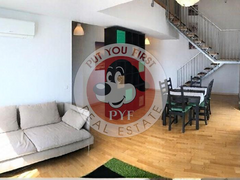 Parcul Carol | 3 camere | 125mp | Semidecomandat | B12302