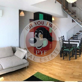 Parcul Carol | 3 camere | 125mp | Semidecomandat | B12302